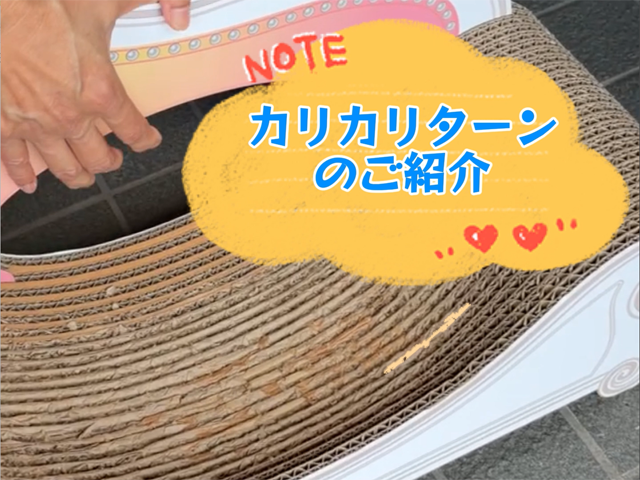 カリカリターン